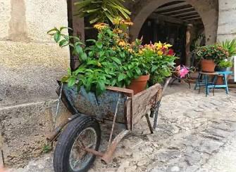 Brouette en bois fleurie sous les arcades